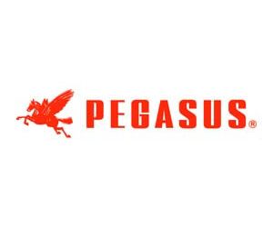 PEGASUS