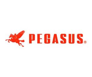 PEGASUS